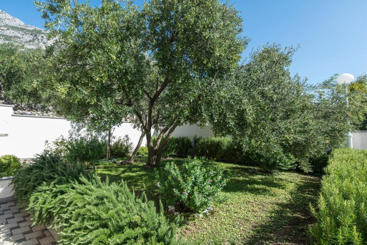 Nasa Kuca Bed & Breakfast - Adults Only Брист Екстер'єр фото